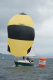 oystercatcher 3245c whyw16 wed 800 3094w